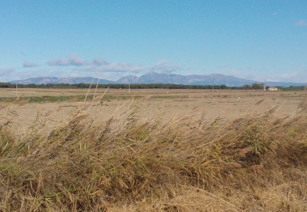 By the side of the road