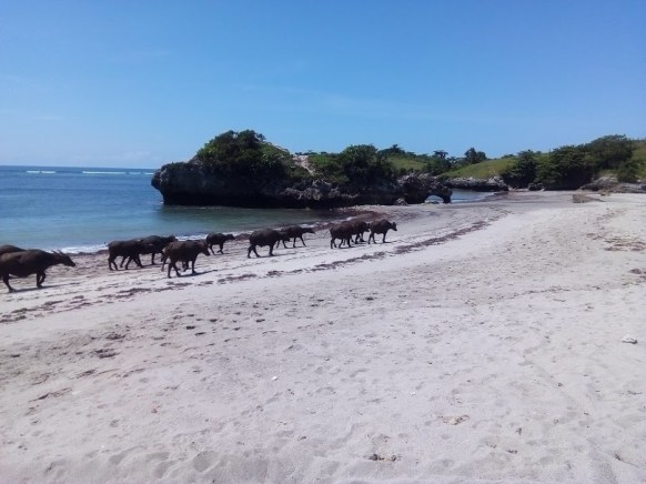 nice beach